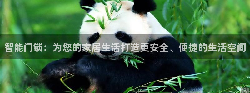 利记官网是真的吗：智能门锁：为您的家居生活打造更安全、便捷的