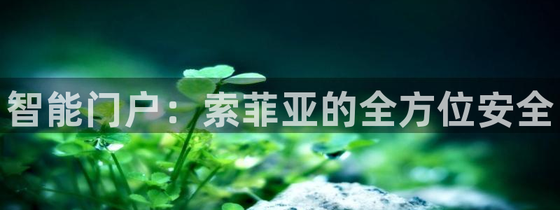 利记官网香菜1：智能门户：索菲亚的全方位安全