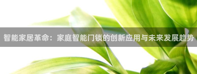 利记彩票官网wx678 com：智能家居革命：家庭智能门锁的