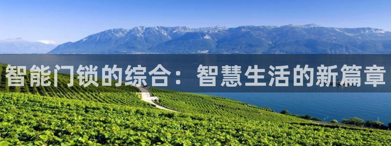 利记广告联盟官网：智能门锁的综合：智慧生活的新篇章