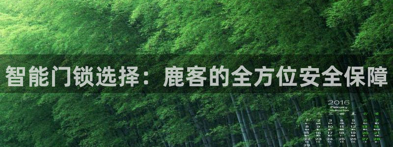 利记娱乐网官网：智能门锁选择：鹿客的全方位安全保障