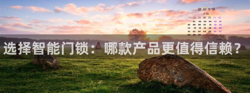 利记国际线址官网：选择智能门锁：哪款产品更值得信赖？