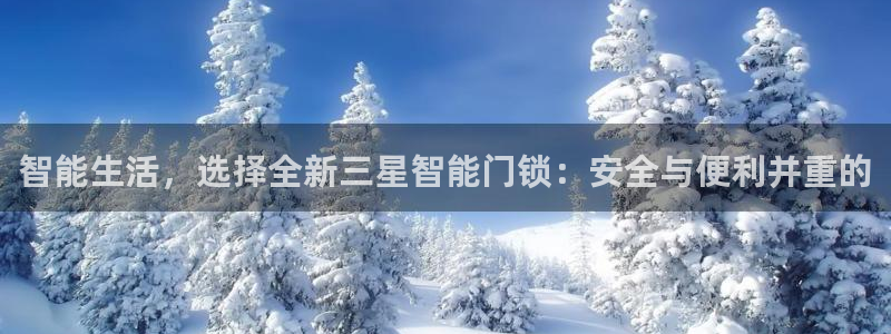 利记博彩官网APP：智能生活，选择全新三星智能门锁：安全与便