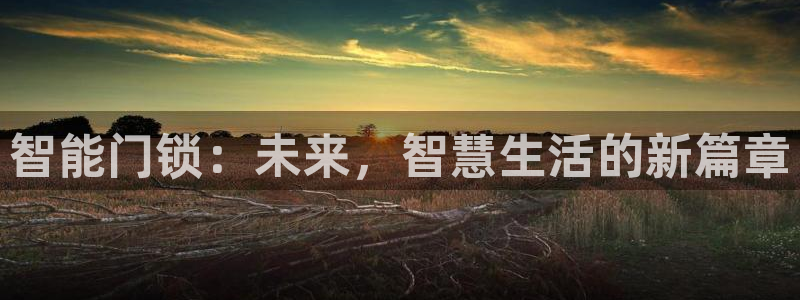 利记彩票官网hd71：智能门锁：未来，智慧生活的新篇章