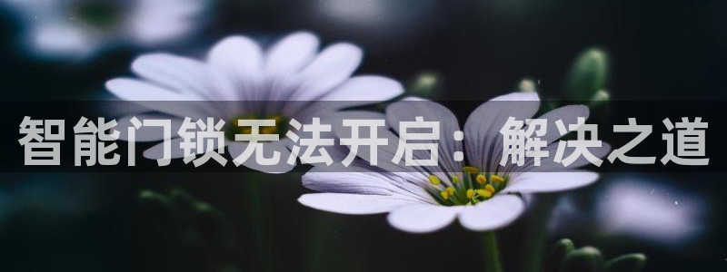 利记官网注册网：智能门锁无法开启：解决之道