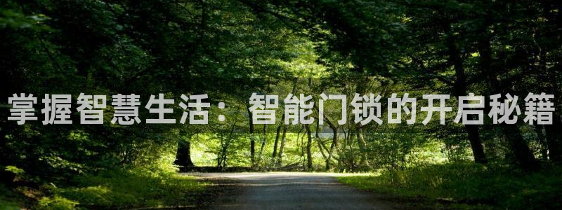 香港利记集团官网招聘：掌握智慧生活：智能门锁的开启秘籍