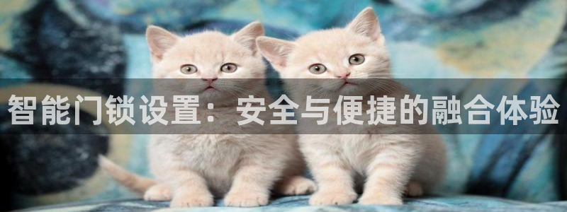 利记坊官网注册：智能门锁设置：安全与便捷的融合体验