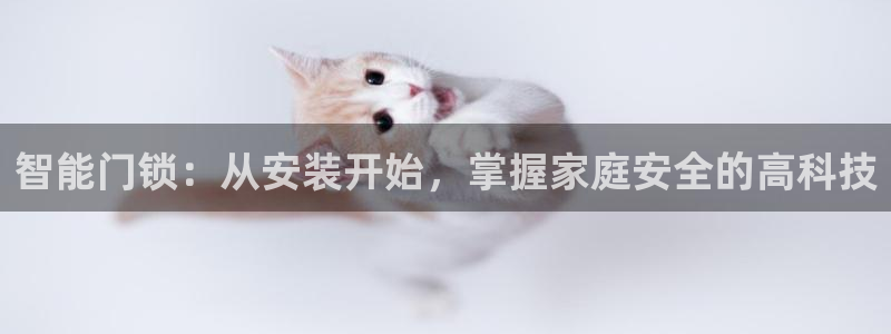 香港利记集团官网旗舰店：智能门锁：从安装开始，掌握家庭安全的
