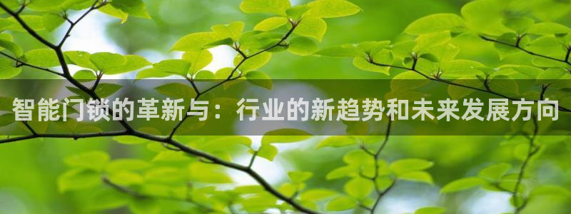 利记买球官网：智能门锁的革新与：行业的新趋势和未来发展方向