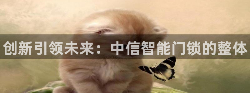 利记体育官网地址：创新引领未来：中信智能门锁的整体