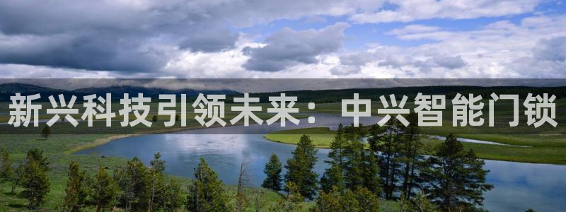 利记彩票官网网址官网hd71：新兴科技引领未来：中兴智能门锁