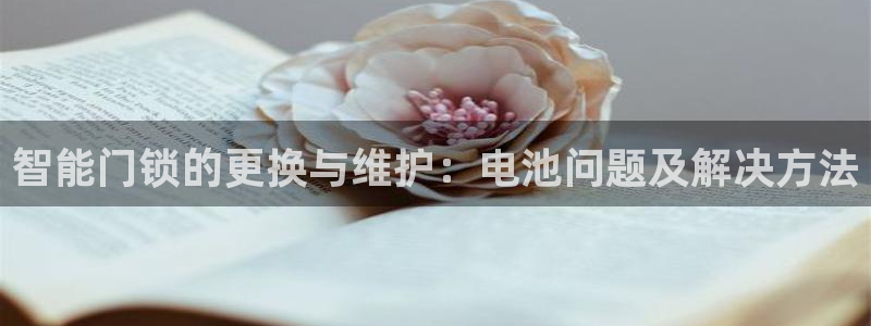 利记体育投注官网：智能门锁的更换与维护：电池问题及解决方法