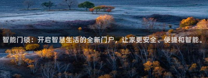 香港利记集团官网旗舰店：智能门锁：开启智慧生活的全新门户，让