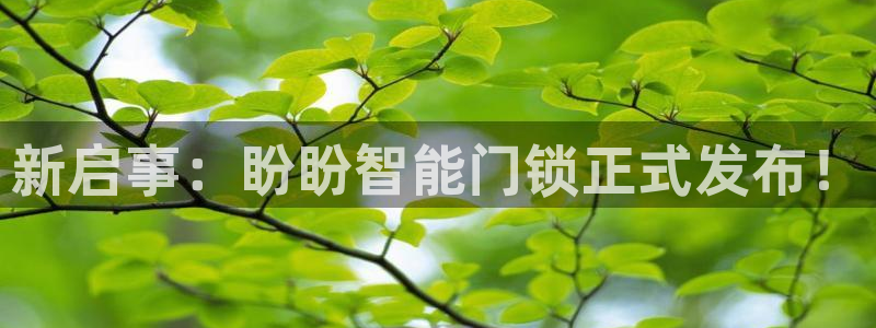 利记集团官网：新启事：盼盼智能门锁正式发布！