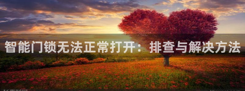 利记坊官网注册账号申请：智能门锁无法正常打开：排查与解决方法
