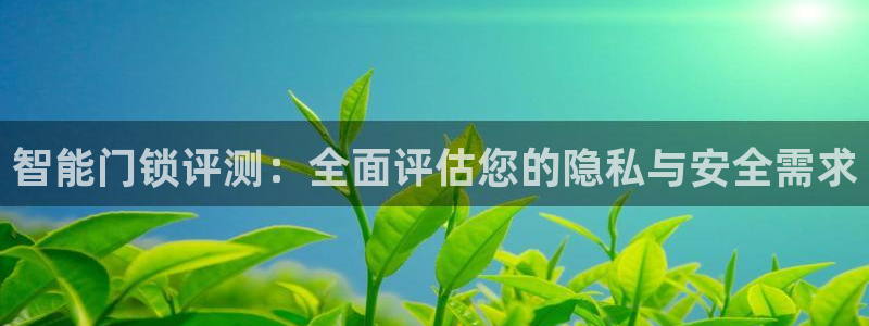 利记手机官网葡京备用：智能门锁评测：全面评估您的隐私与安全需