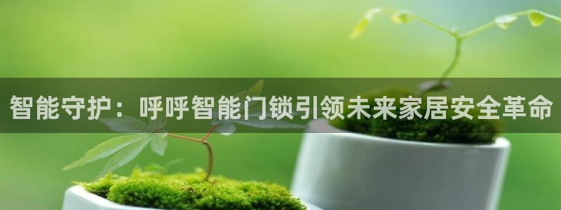 利记真正的官网是多少：智能守护：呼呼智能门锁引领未来家居安全