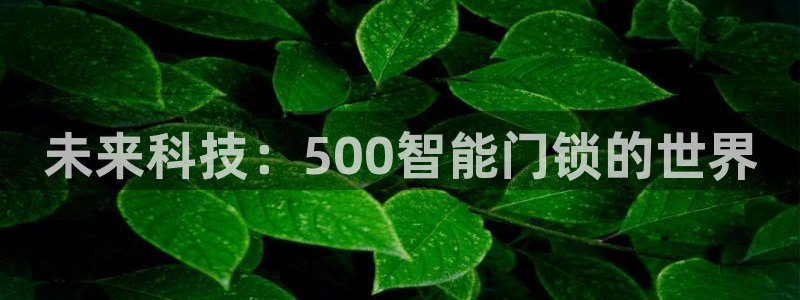 利记国际官网：未来科技：500智能门锁的世界