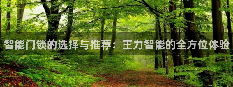 利记国际有限公司官网：智能门锁的选择与推荐：王力智能的全方位