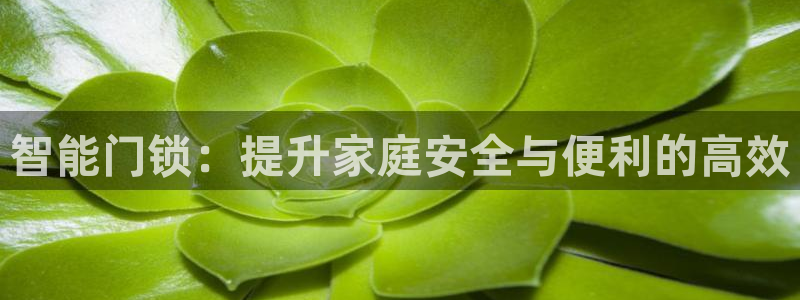 利记sbobe官网：智能门锁：提升家庭安全与便利的高效