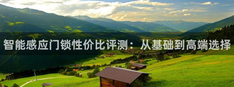 利记坊官网注册：智能感应门锁性价比评测：从基础到高端选择
