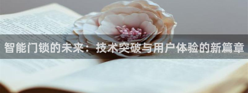 利记官网加盟：智能门锁的未来：技术突破与用户体验的新篇章