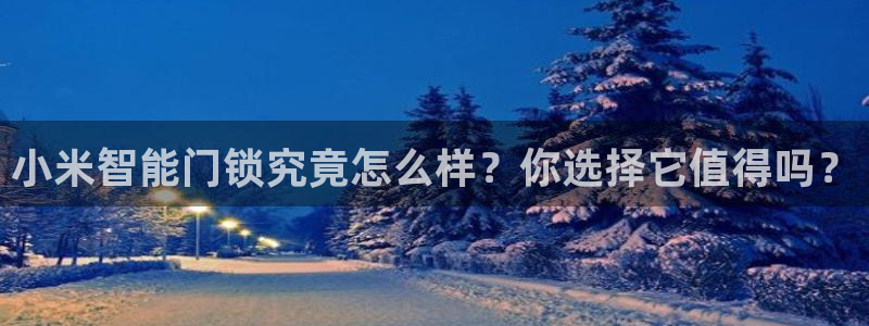 利记体育手机版官网：小米智能门锁究竟怎么样？你选择它值得吗？