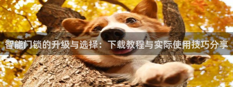 188bet注册利记官网app：智能门锁的升级与选择：下载教