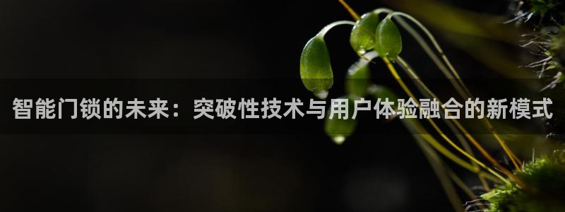 香港利记lee kee集团官网：智能门锁的未来：突破性技术与