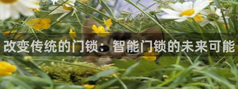 利记手机官网电子mg官方网站：改变传统的门锁：智能门锁的未来