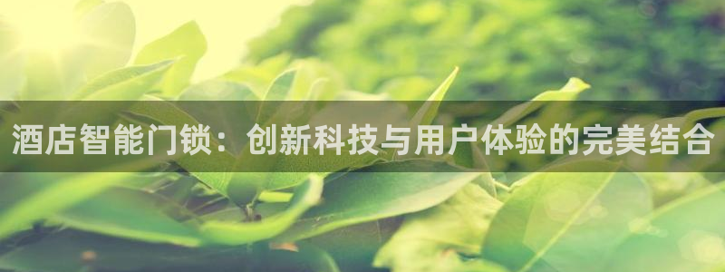 利记集团官网：酒店智能门锁：创新科技与用户体验的完美结合