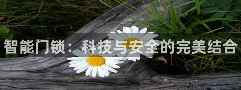 利记彩票网网址官网hd71：智能门锁：科技与安全的完美结合