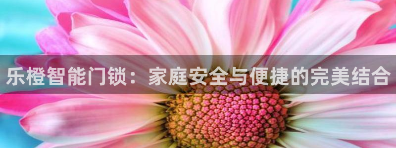 sbo利记体育官网：乐橙智能门锁：家庭安全与便捷的完美结合