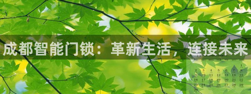 利记官网多少：成都智能门锁：革新生活，连接未来