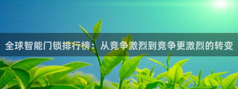 利记博彩官网APP：全球智能门锁排行榜：从竞争激烈到竞争更激