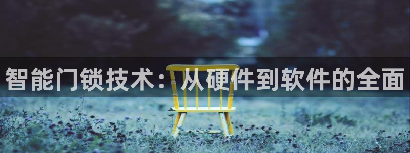 利记官网电脑版：智能门锁技术：从硬件到软件的全面