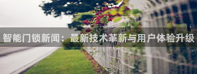 利记广告联盟官网：智能门锁新闻：最新技术革新与用户体验升级