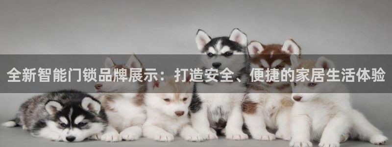 利记官网app下载：全新智能门锁品牌展示：打造安全、便捷的家