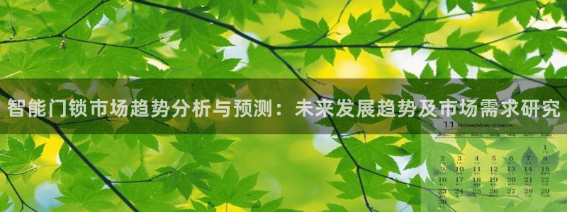 利记官网是真的吗：智能门锁市场趋势分析与预测：未来发展趋势及