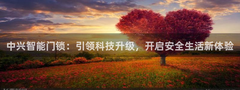 万利记加盟官网电话：中兴智能门锁：引领科技升级，开启安全生活