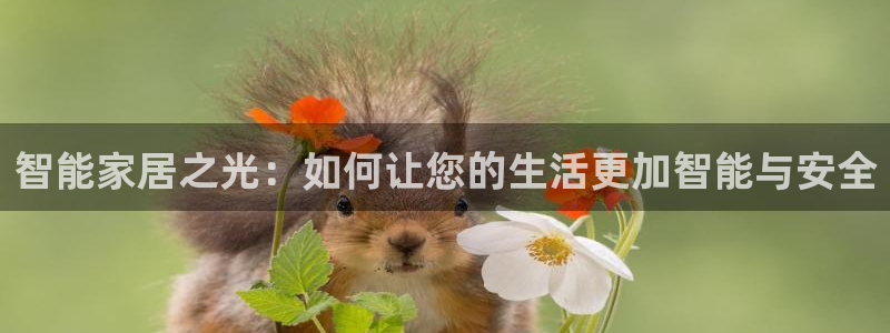 利记网官网：智能家居之光：如何让您的生活更加智能与安全