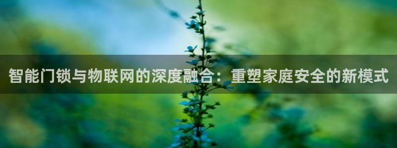 SBOBET利记官网：智能门锁与物联网的深度融合：重塑家庭安