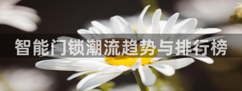 利记手机官网bb电子平台官方：智能门锁潮流趋势与排行榜