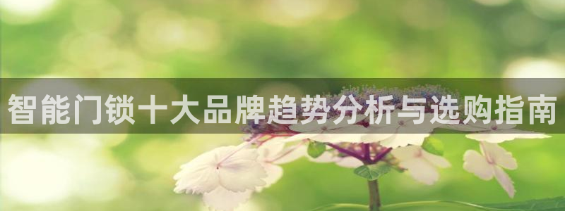利记官网注册：智能门锁十大品牌趋势分析与选购指南