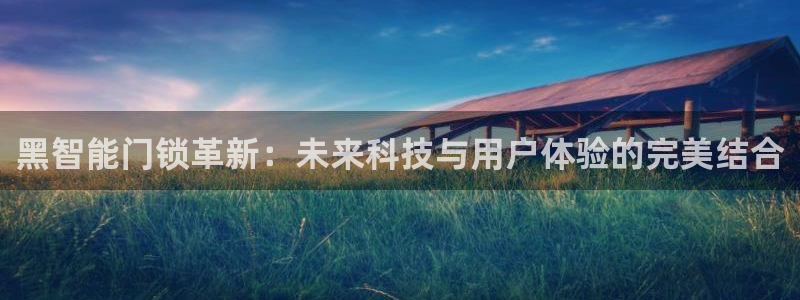 林利记官网：黑智能门锁革新：未来科技与用户体验的完美结合