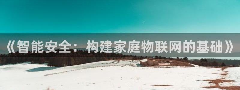 利记app官网：《智能安全：构建家庭物联网的基础》