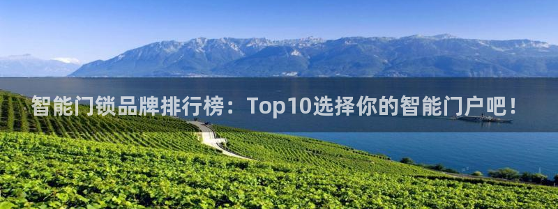 利记体育官网首页：智能门锁品牌排行榜：Top10选择你的智能