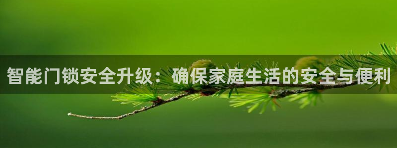 万利记唯一官网：智能门锁安全升级：确保家庭生活的安全与便利