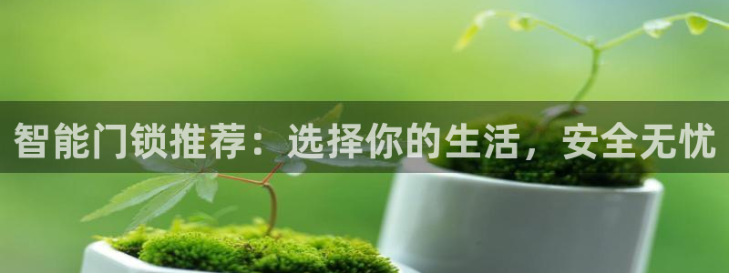 sbotop利记官网：智能门锁推荐：选择你的生活，安全无忧