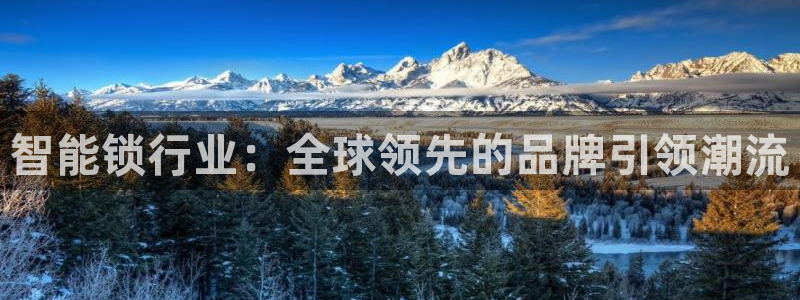 利记网官网：智能锁行业：全球领先的品牌引领潮流